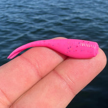 Load image into Gallery viewer, BS Minnow 2"