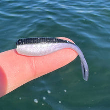 Load image into Gallery viewer, BS Minnow 2"