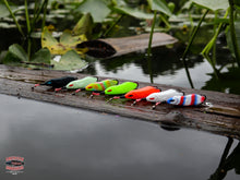 Load image into Gallery viewer, Snek Frog