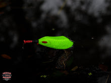 Load image into Gallery viewer, Snek Frog