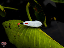 Load image into Gallery viewer, Snek Frog