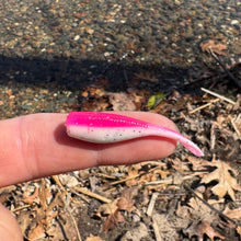 Load image into Gallery viewer, BS Minnow 2"