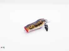 Load image into Gallery viewer, Pop N' Snek Frog