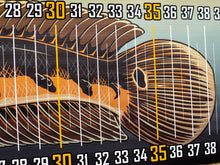 Load image into Gallery viewer, Dragon Ruler