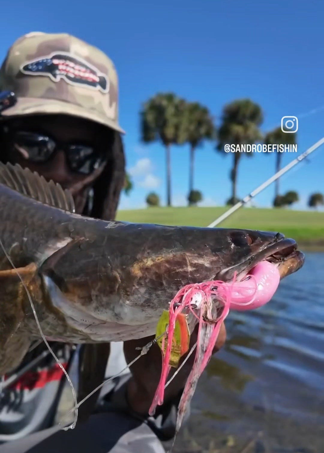 Apex Blade – Yak Line